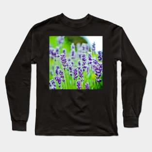 Purple Lavender Long Sleeve T-Shirt